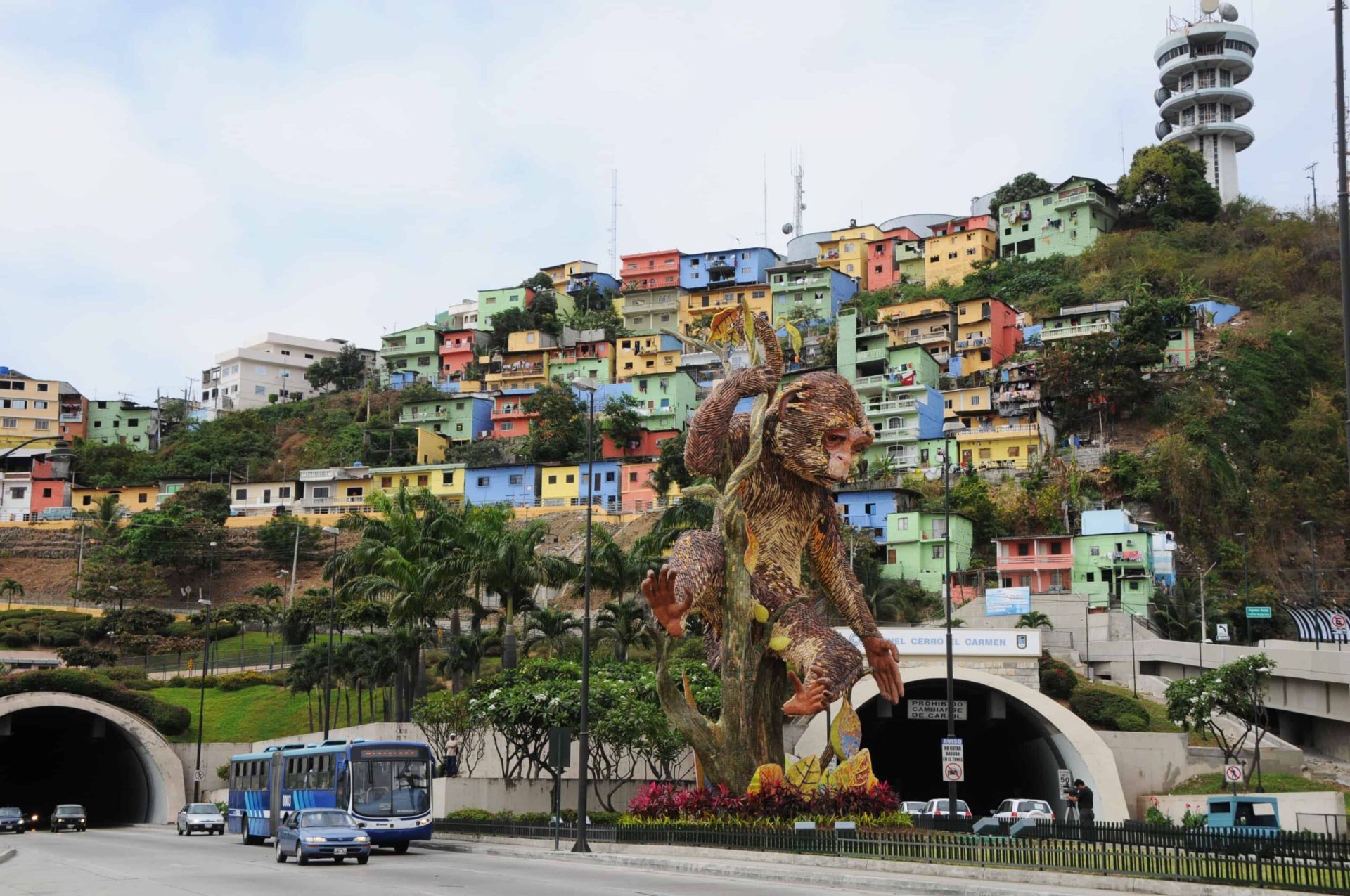 BilDev Tours | Cultural and Community Tourism in Ecuador